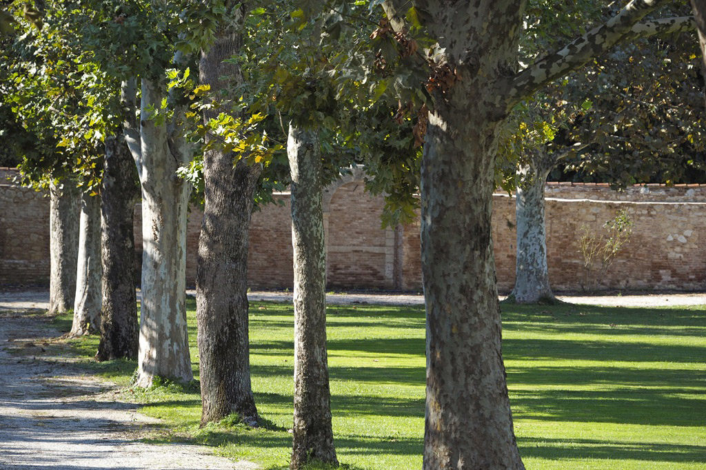 Villa Pisani